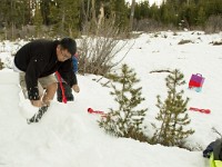 20150217-SnowTrip-1046 : Aaron, Adrian, Adventure, Alyssa, Ashley, Bryant, Cho, Corinna, Forward, Lake, Maddie, Mountain, Richard, Sandra, South Lake Tahoe, Tahoe, Tyler, cabin, maddison, snow, snowman, winter
